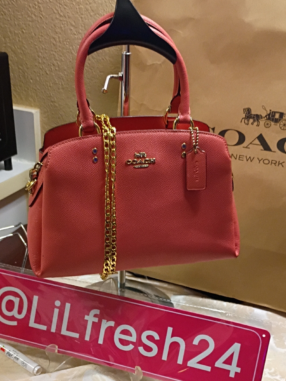 Coach Mini Lily Carry All Handbag